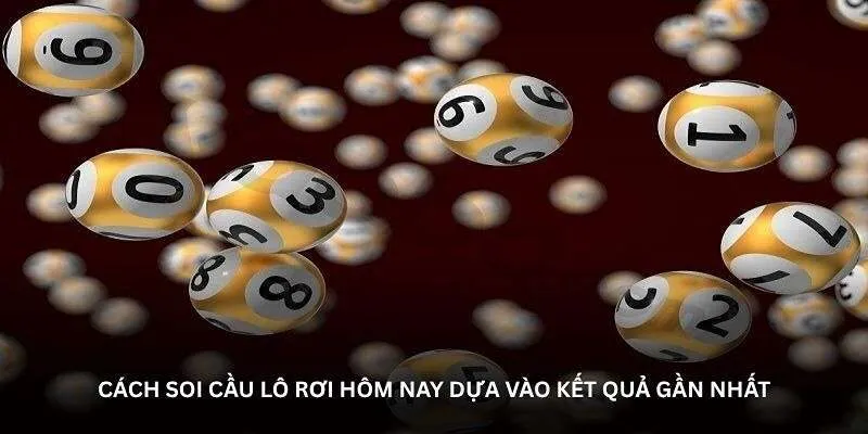 cach-bat-lo-roi-2